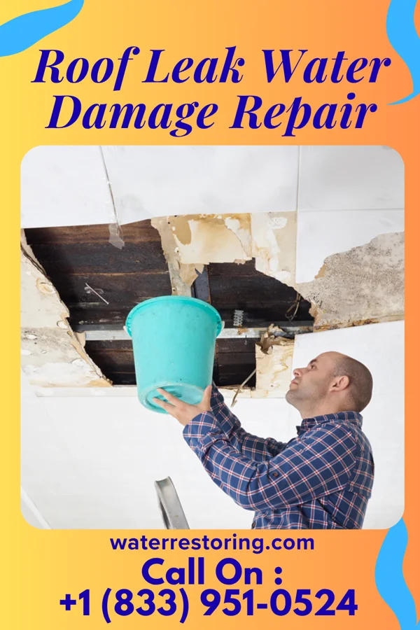 Roof Leak Water Damage Repair in Gages Lake, IL