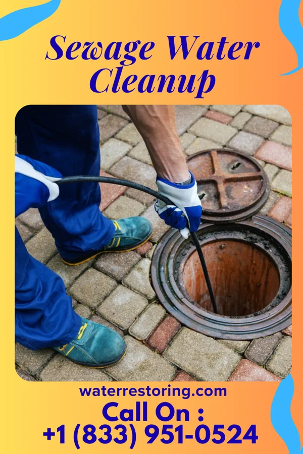 Sewage Water Cleanup in Gages Lake, IL