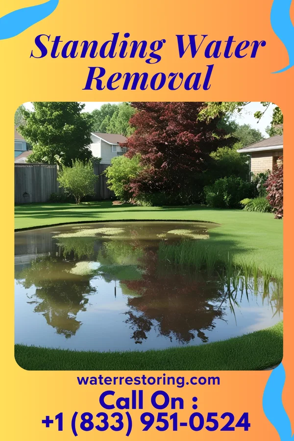 Standing Water Removal in Gages Lake, IL